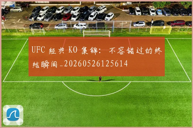 UFC 经典 KO 集锦:不容错过的终结瞬间_20260526125614