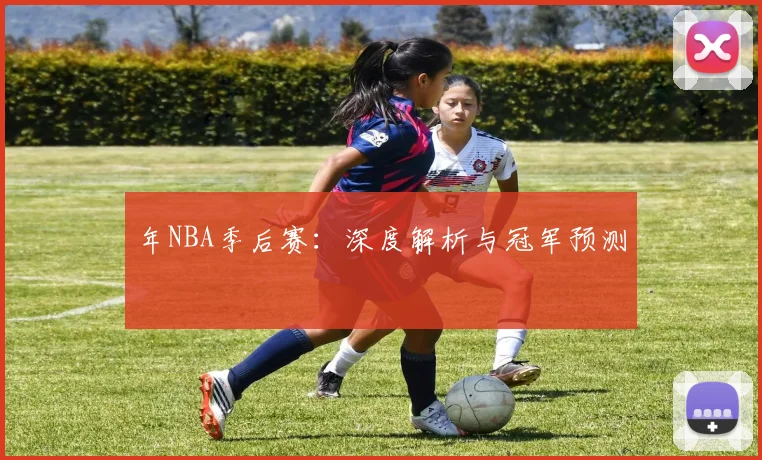 年NBA季后赛:深度解析与冠军预测
