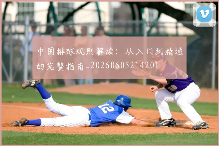 中国排球规则解读:从入门到精通的完整指南_20260605214201