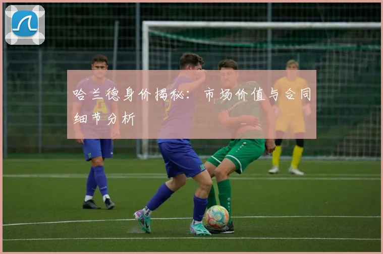 哈兰德身价揭秘:市场价值与合同细节分析